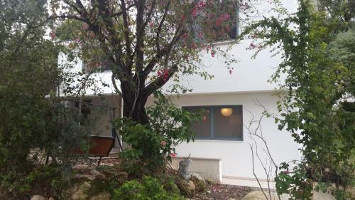 Bed & Breakfast Kibbutz Nachshon