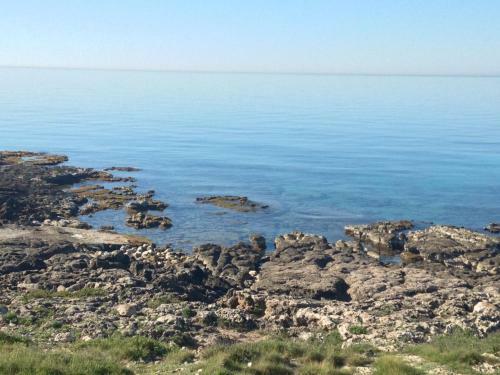 Appartamenti A 50 Mt Dal Mare