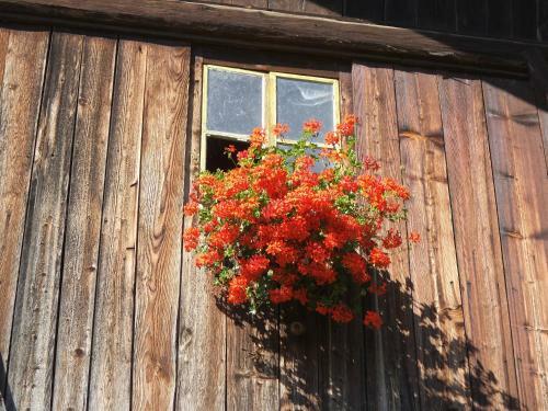 Apartamento Steierhof