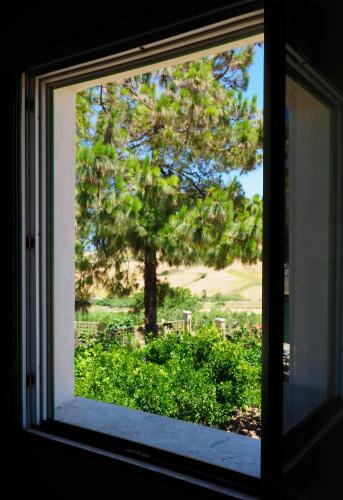 B&B Manca1fiorino
