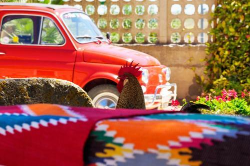 B&B Manca1fiorino