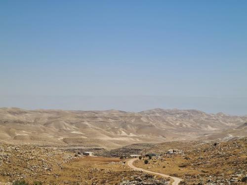 ???? ????? ??? ????? Sfar Hamidbar Farm