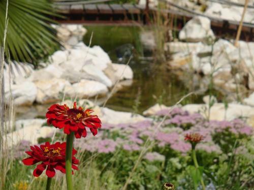 Hostal Jardines De Casablanca