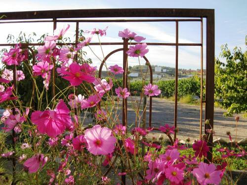 Hostal Jardines De Casablanca