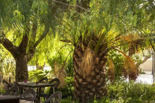 Hostal Jardines De Casablanca