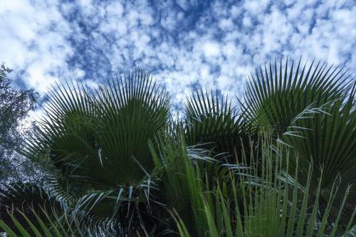Hostal Jardines De Casablanca
