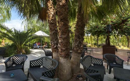 Hostal Jardines De Casablanca