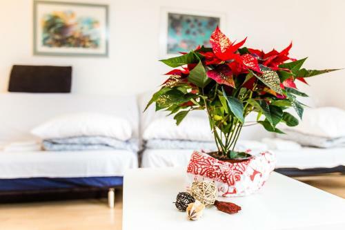 Apartment K�ln Neubr�ck