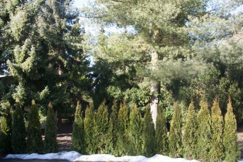 Villa Wei�ensee