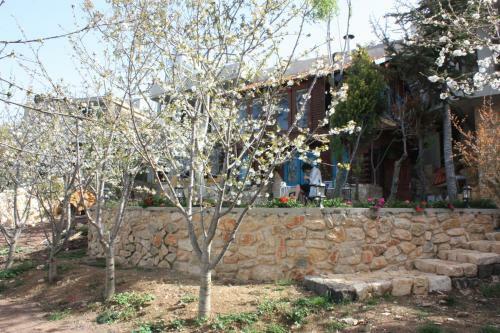 Lodge Zimer Al-bayt