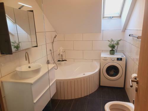 Apartment Deluxe 1