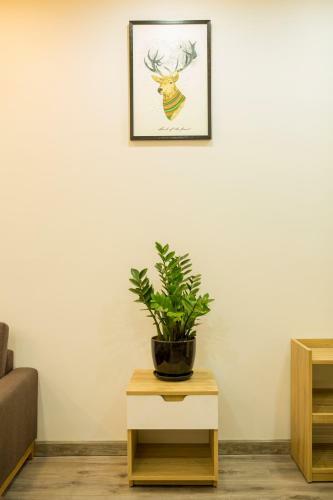 Tony Estates Danang Beach Luxury Apartments
