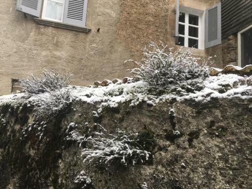 Apartamento Villa Bacchetta - Stone Cottage