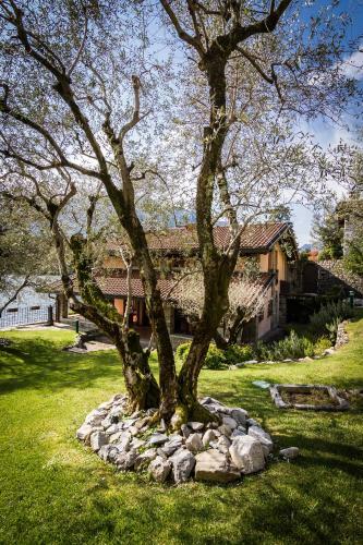 Villa Anna Enchanting View On Isola Comacina