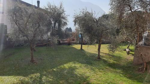 Apartamento Appartamento Le Rose