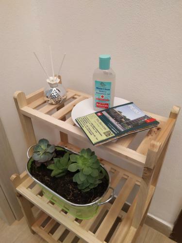 Apartamento Appartamento Carducci