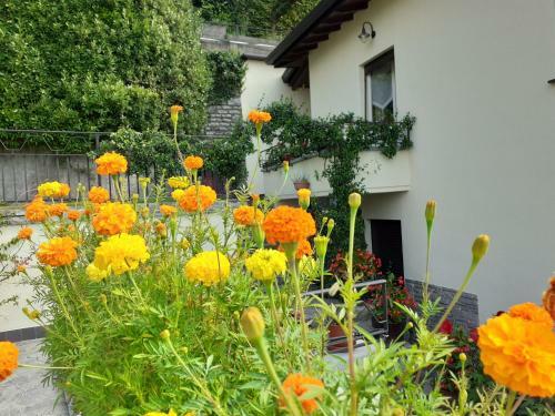 La Casa Degli Oleandri