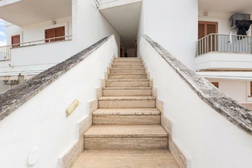 Apartamento Mono Le Rose