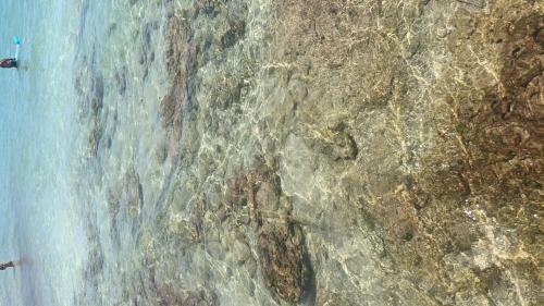 Appartamento Vacanze Lido Marini