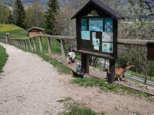 Apartamento Appartamento Tiziana Val Di Fiemme