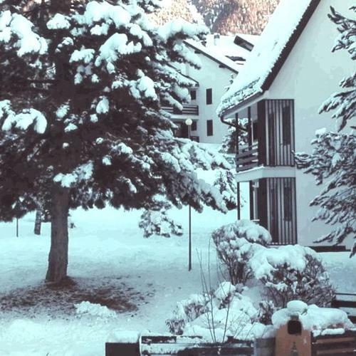Apartamento Un "gioiello" Di Fronte Alle Dolomiti