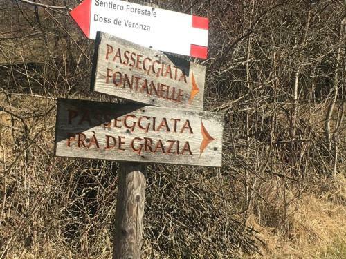 Apartamento Un "gioiello" Di Fronte Alle Dolomiti