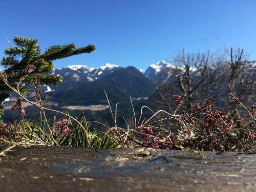 Apartamento Un "gioiello" Di Fronte Alle Dolomiti