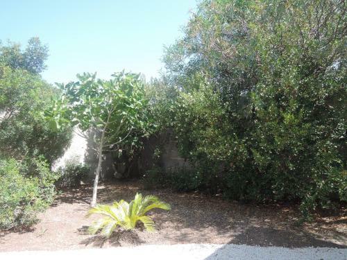 Apartamento I Mirti - Home Holiday
