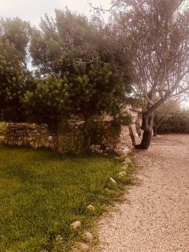 Tenuta Mar�