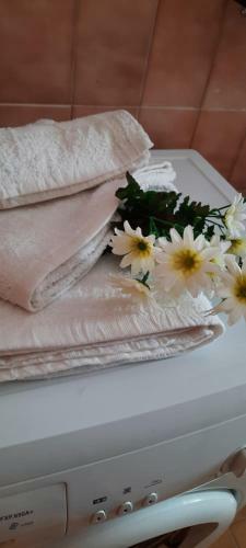 Profumo Di Mare- Holiday House