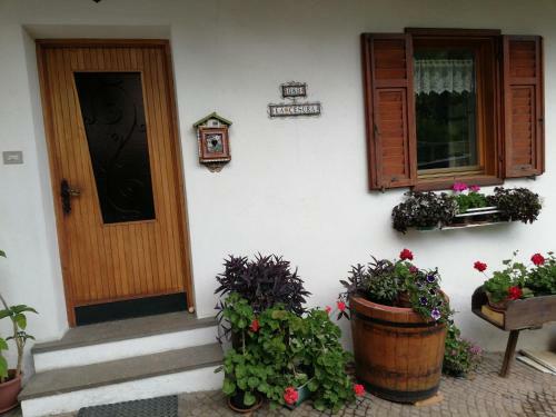 Bed & Breakfast La Cesura