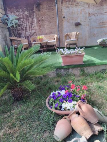 Bed & Breakfast No Zu Fil�