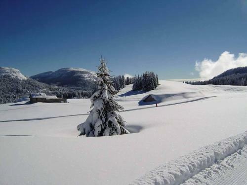 Hotel Caminetto Mountain Resort