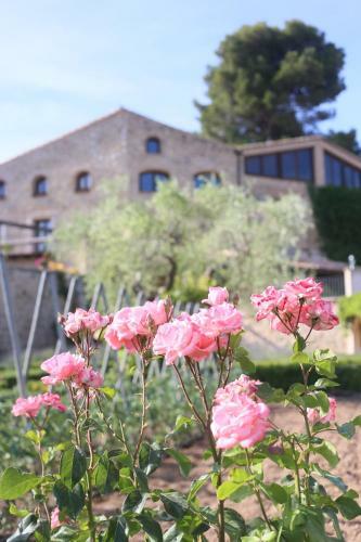 Hotel Hort De Fortunyo