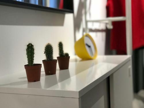Apartamento Market Studio