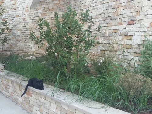 Apartamento Appartamento Stefania