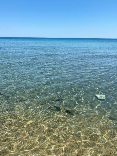 La Ginestra Sul Mare