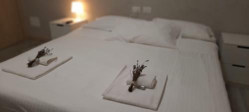 Hostal Bgy Airport House Grassobbio