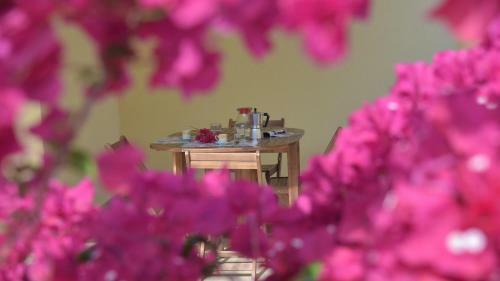 Apartamento Welcomely - Villetta Susy
