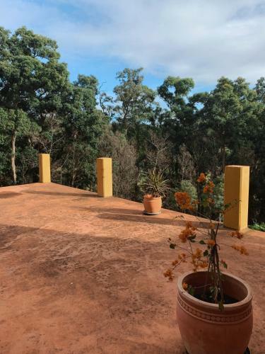 Apartamento Golden Streams