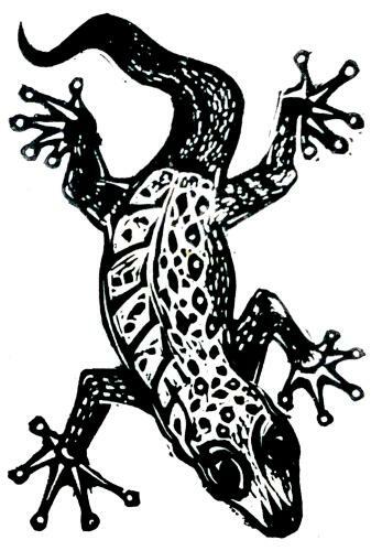 Hostal Gecko Guest House