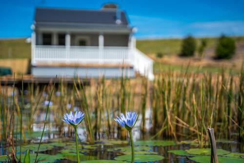 Villa Forget Me Not Farm Cottages