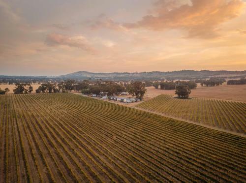 Apartamento Vineyard Views At Shiraz Republic