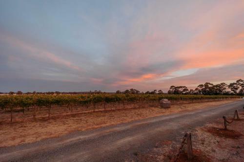 Apartamento Vineyard Views At Shiraz Republic