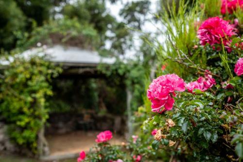 Hideaway Cottage