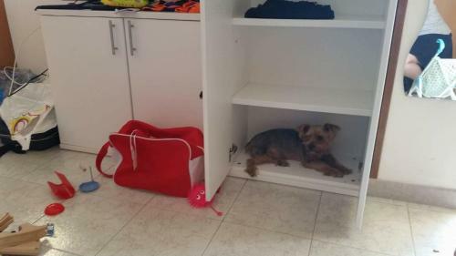 Apartamento La Casa Di Pamy