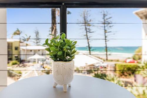 Apartamento Coolum Beachside Studio