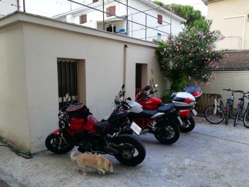 Apartamento Appartamento Tipo Marziale