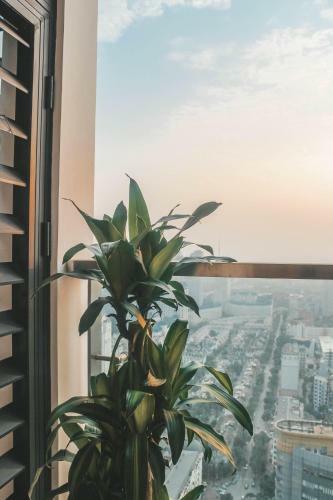 Homefromhome Skylake Serviced Apartment