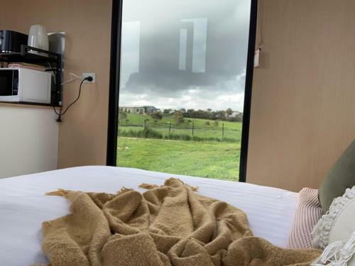 River View Tiny House